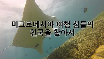 미크로네시아 여행: 섬들의 천국을 찾아서 ✨